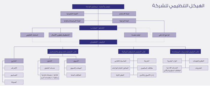 الهيكل التنظيمي للشركة